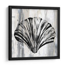 Concha Negra I - Andrea James | Cuadro decorativo de Canvas Lab