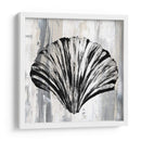 Concha Negra I - Andrea James | Cuadro decorativo de Canvas Lab