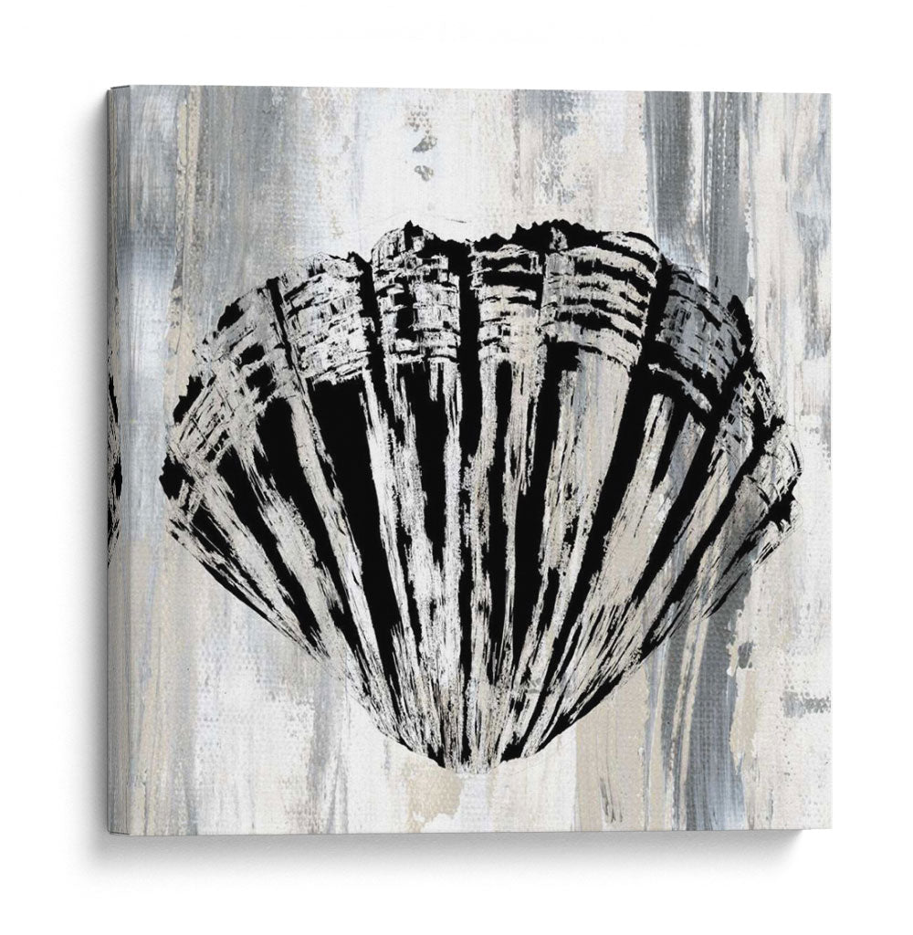 Shell Negro Ii - Andrea James | Cuadro decorativo de Canvas Lab
