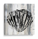Shell Negro Ii - Andrea James | Cuadro decorativo de Canvas Lab