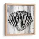 Shell Negro Ii - Andrea James | Cuadro decorativo de Canvas Lab