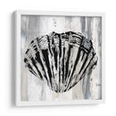 Shell Negro Ii - Andrea James | Cuadro decorativo de Canvas Lab