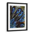 Pluma I - Danielle Harrington | Cuadro decorativo de Canvas Lab