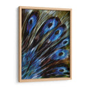 Pluma I - Danielle Harrington | Cuadro decorativo de Canvas Lab