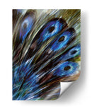 Pluma I - Danielle Harrington | Cuadro decorativo de Canvas Lab