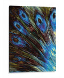 Pluma Ii - Danielle Harrington | Cuadro decorativo de Canvas Lab