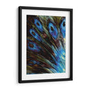 Pluma Ii - Danielle Harrington | Cuadro decorativo de Canvas Lab