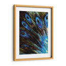 Pluma Ii - Danielle Harrington | Cuadro decorativo de Canvas Lab