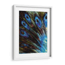 Pluma Ii - Danielle Harrington | Cuadro decorativo de Canvas Lab