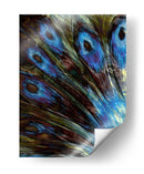 Pluma Ii - Danielle Harrington | Cuadro decorativo de Canvas Lab