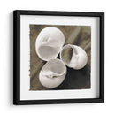 Shell Igualizado Trio I - Andrea James | Cuadro decorativo de Canvas Lab