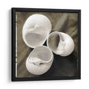 Shell Igualizado Trio I - Andrea James | Cuadro decorativo de Canvas Lab