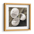 Shell Igualizado Trio I - Andrea James | Cuadro decorativo de Canvas Lab