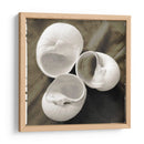 Shell Igualizado Trio I - Andrea James | Cuadro decorativo de Canvas Lab