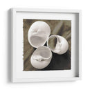 Shell Igualizado Trio I - Andrea James | Cuadro decorativo de Canvas Lab