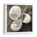 Shell Igualizado Trio I - Andrea James | Cuadro decorativo de Canvas Lab