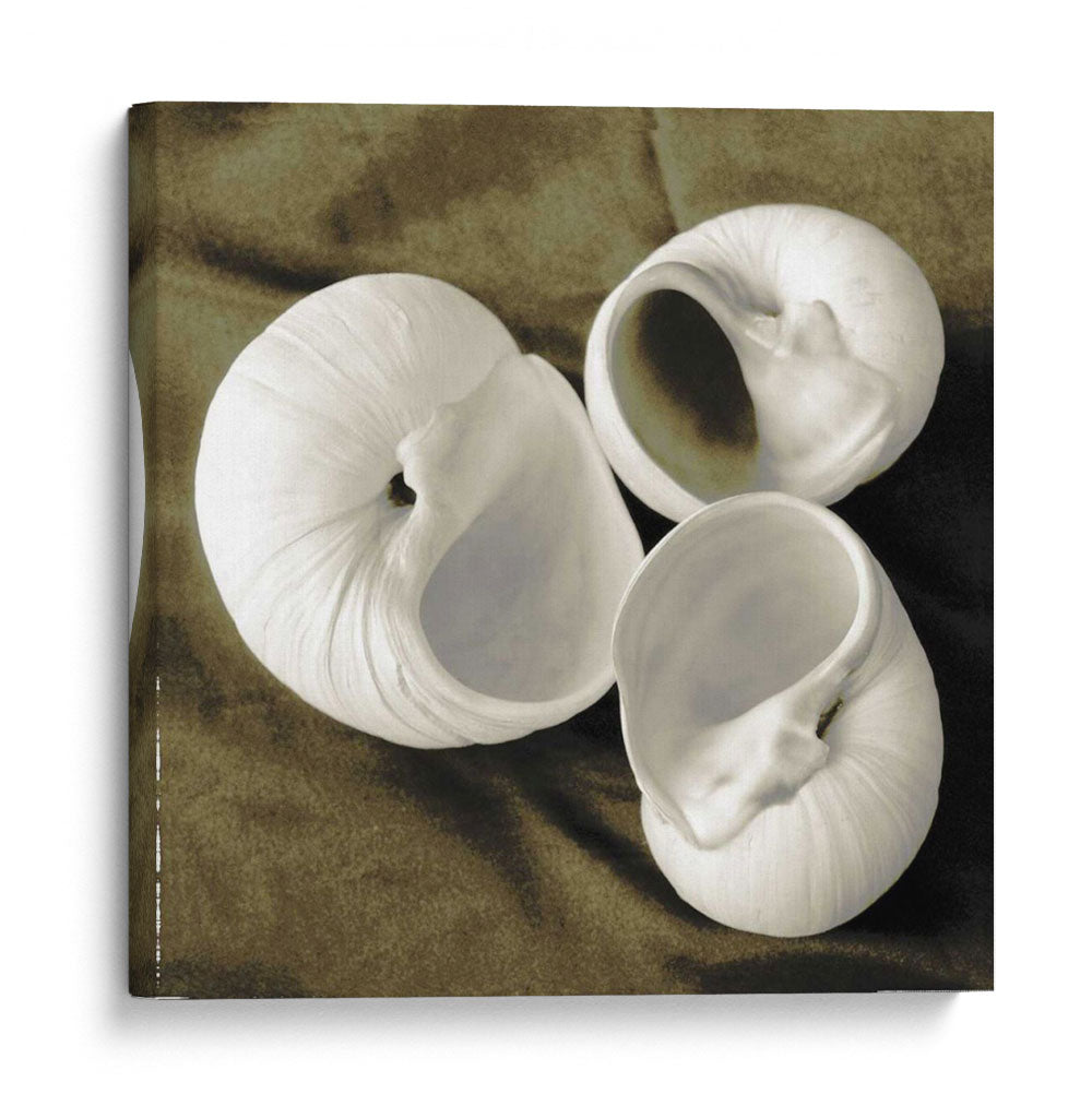 Trio Ecalizado Trio Ii - Andrea James | Cuadro decorativo de Canvas Lab