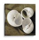 Trio Ecalizado Trio Ii - Andrea James | Cuadro decorativo de Canvas Lab