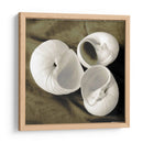 Trio Ecalizado Trio Ii - Andrea James | Cuadro decorativo de Canvas Lab