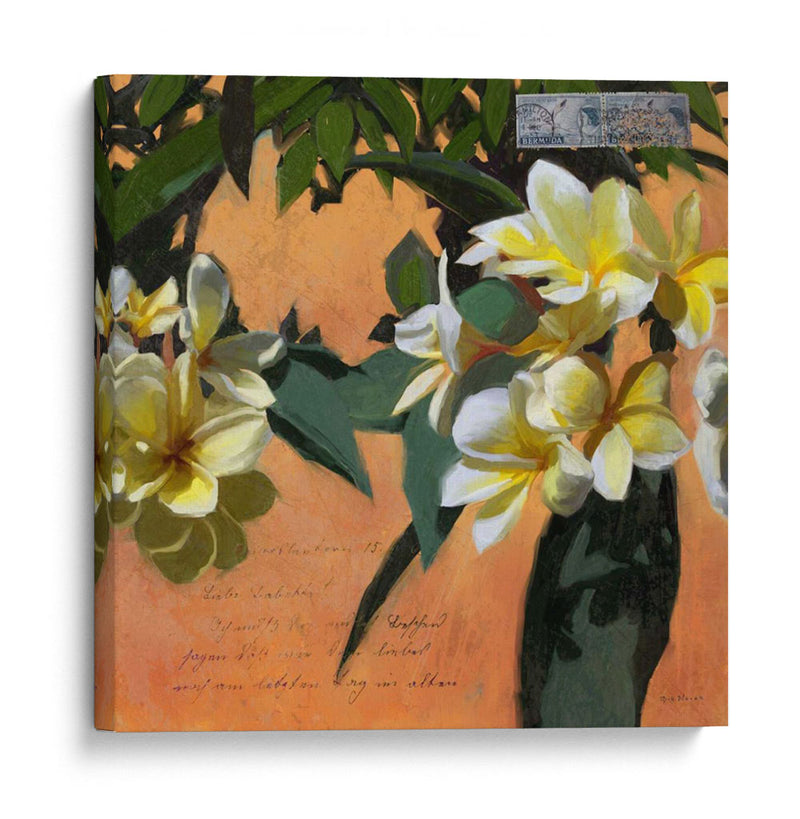 Plumeria Y Franqueo I - Rick Novak | Cuadro decorativo de Canvas Lab