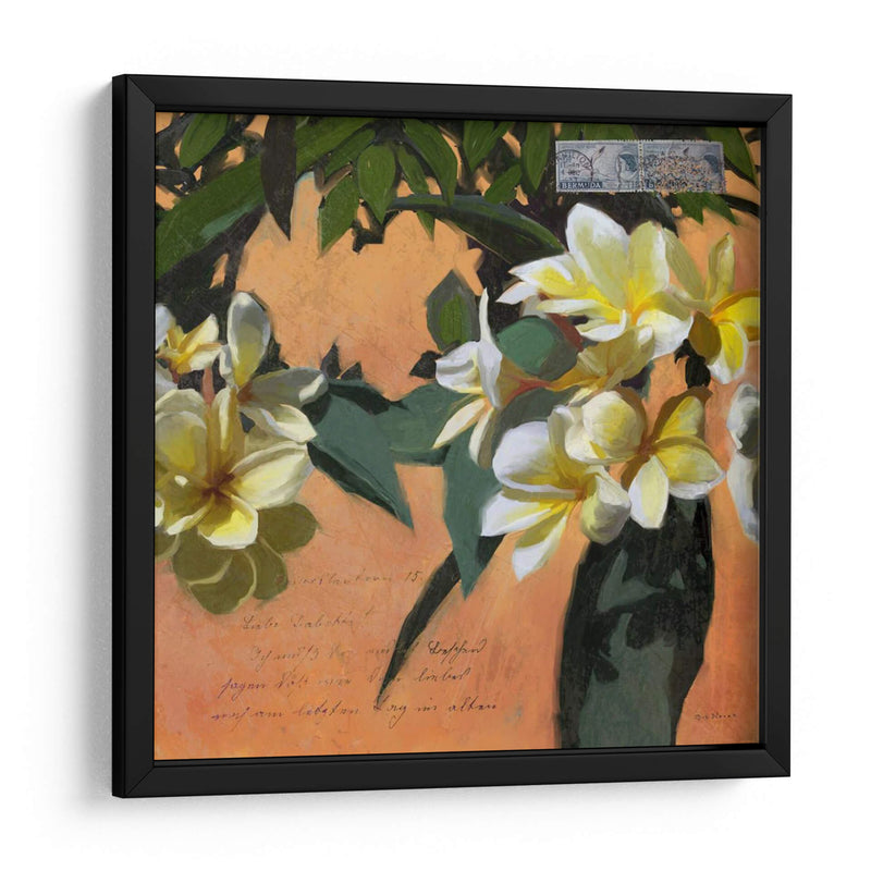 Plumeria Y Franqueo I - Rick Novak | Cuadro decorativo de Canvas Lab