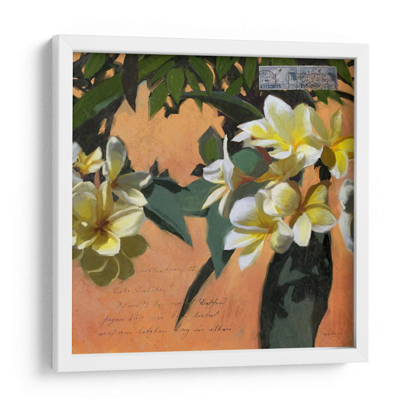 Plumeria Y Franqueo I - Rick Novak | Cuadro decorativo de Canvas Lab