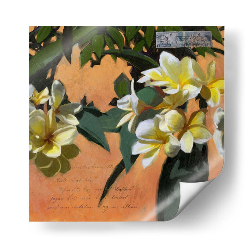 Plumeria Y Franqueo I - Rick Novak | Cuadro decorativo de Canvas Lab