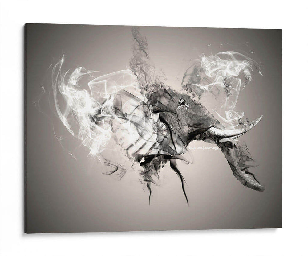 Bombina - Raúl Bermudez | Cuadro decorativo de Canvas Lab
