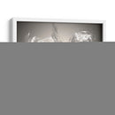 Bombina - Raúl Bermudez | Cuadro decorativo de Canvas Lab