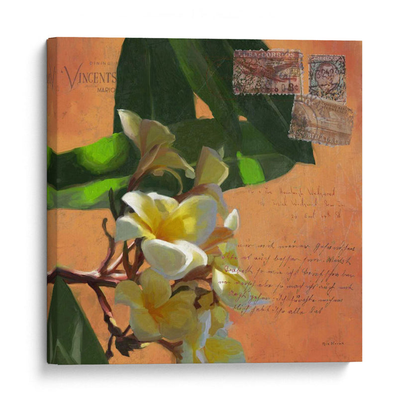 Plumeria Y Franja Ii - Rick Novak | Cuadro decorativo de Canvas Lab