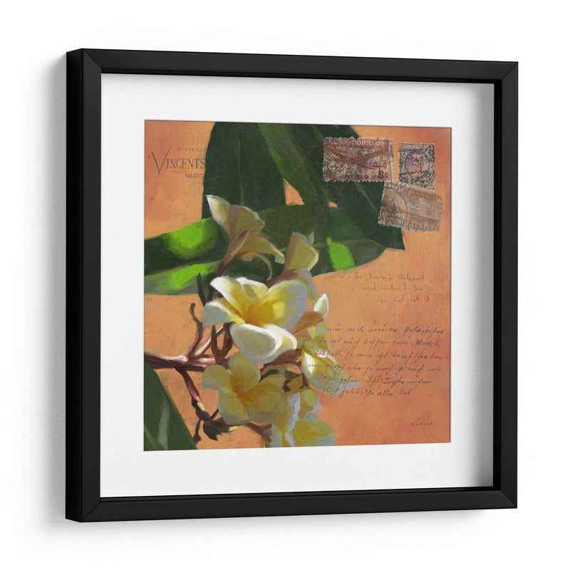 Plumeria Y Franja Ii - Rick Novak | Cuadro decorativo de Canvas Lab