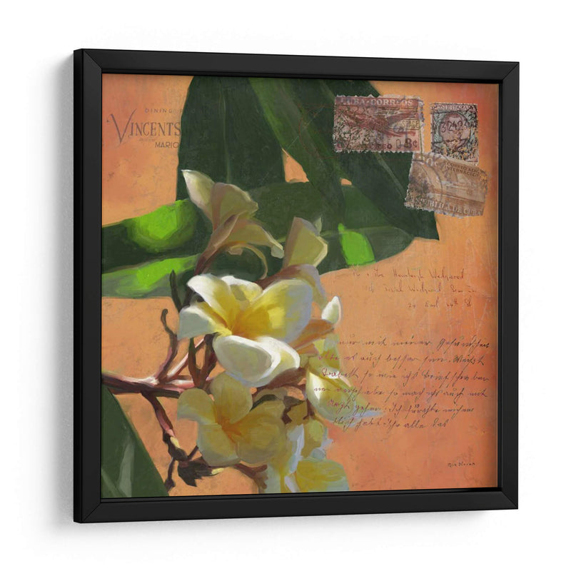 Plumeria Y Franja Ii - Rick Novak | Cuadro decorativo de Canvas Lab