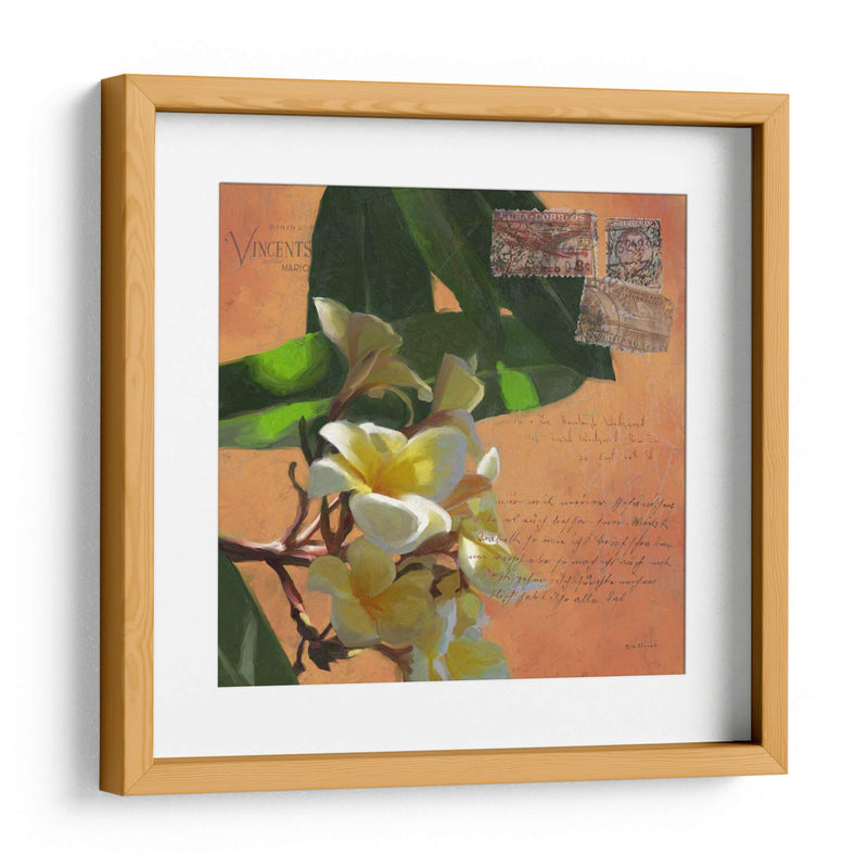 Plumeria Y Franja Ii - Rick Novak | Cuadro decorativo de Canvas Lab