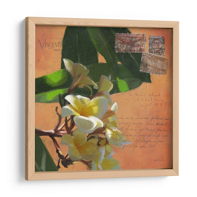 Plumeria Y Franja Ii - Rick Novak | Cuadro decorativo de Canvas Lab