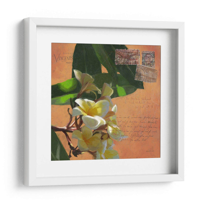 Plumeria Y Franja Ii - Rick Novak | Cuadro decorativo de Canvas Lab