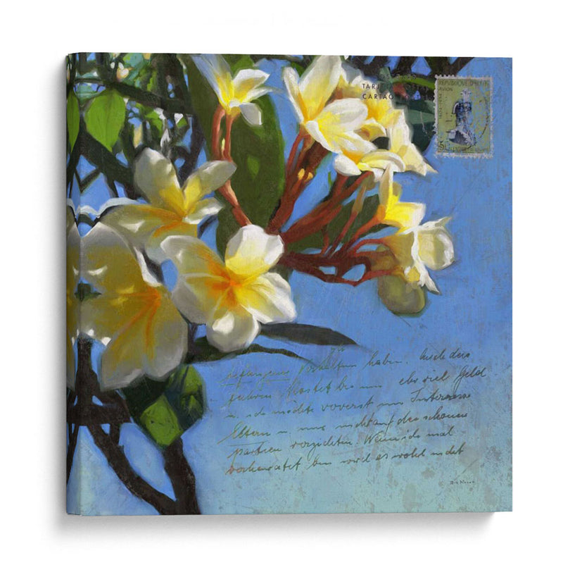 Plumeria Y Franqueo Iii - Rick Novak | Cuadro decorativo de Canvas Lab