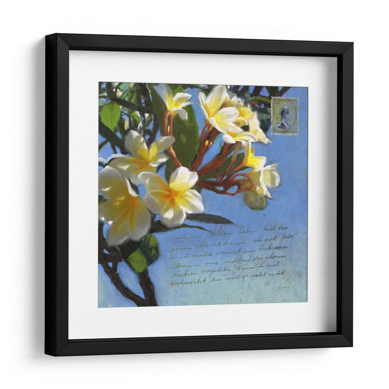 Plumeria Y Franqueo Iii - Rick Novak | Cuadro decorativo de Canvas Lab