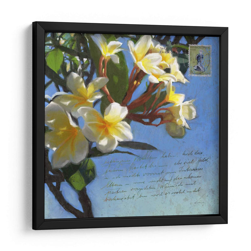 Plumeria Y Franqueo Iii - Rick Novak | Cuadro decorativo de Canvas Lab