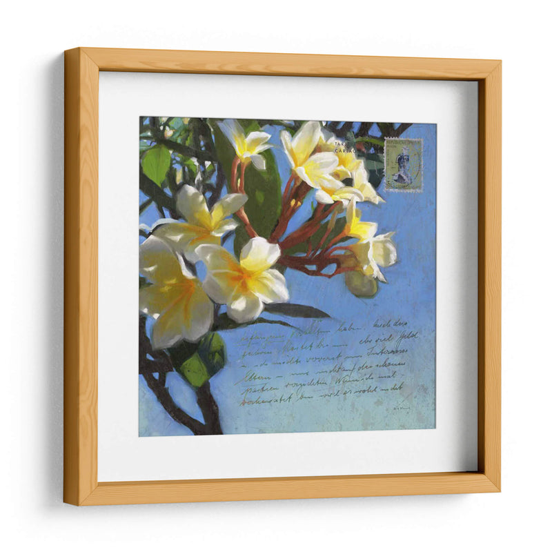 Plumeria Y Franqueo Iii - Rick Novak | Cuadro decorativo de Canvas Lab