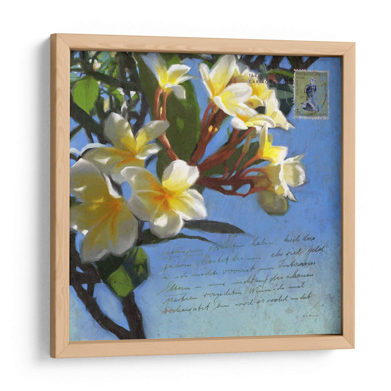 Plumeria Y Franqueo Iii - Rick Novak | Cuadro decorativo de Canvas Lab