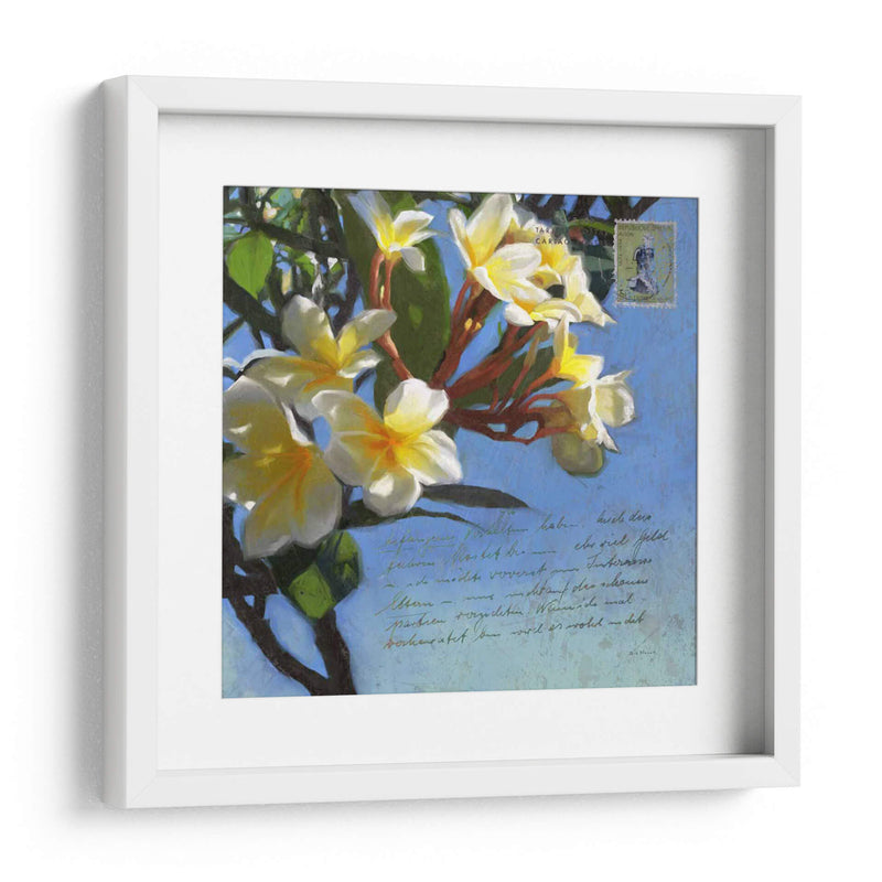 Plumeria Y Franqueo Iii - Rick Novak | Cuadro decorativo de Canvas Lab