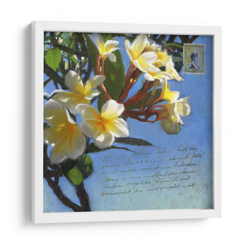 Plumeria Y Franqueo Iii - Rick Novak | Cuadro decorativo de Canvas Lab