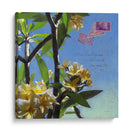 Plumeria Y Postal Iv - Rick Novak | Cuadro decorativo de Canvas Lab