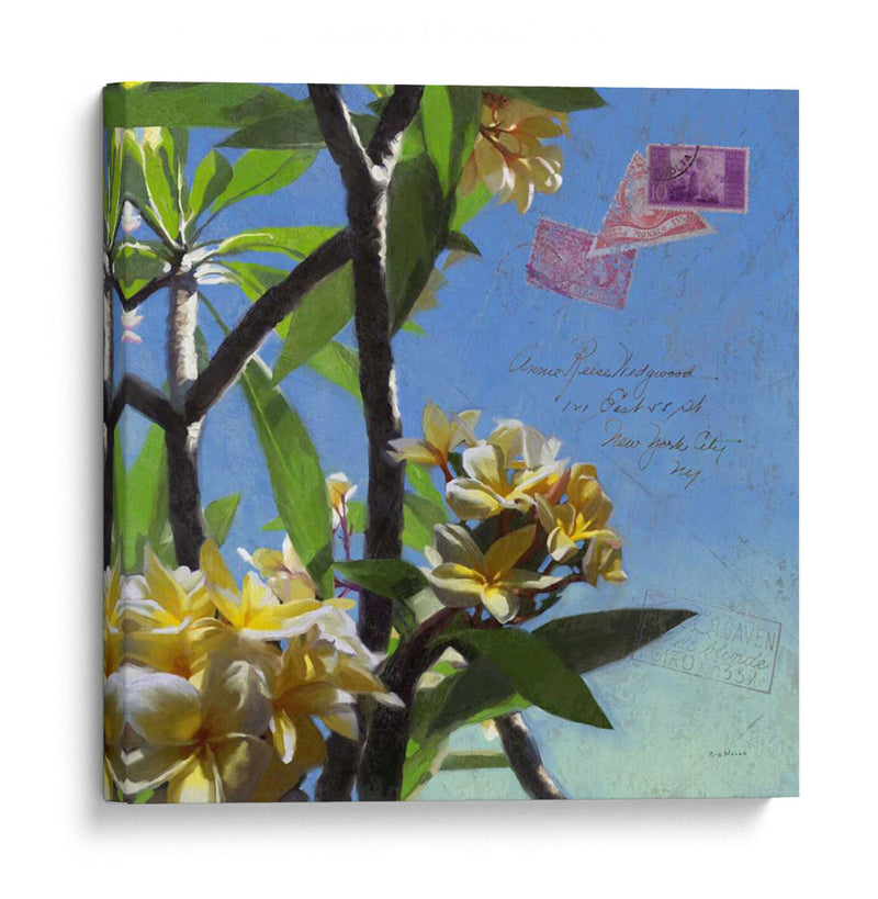 Plumeria Y Postal Iv - Rick Novak | Cuadro decorativo de Canvas Lab