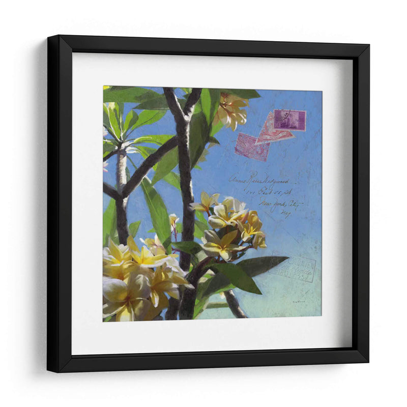 Plumeria Y Postal Iv - Rick Novak | Cuadro decorativo de Canvas Lab