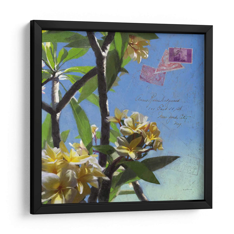 Plumeria Y Postal Iv - Rick Novak | Cuadro decorativo de Canvas Lab