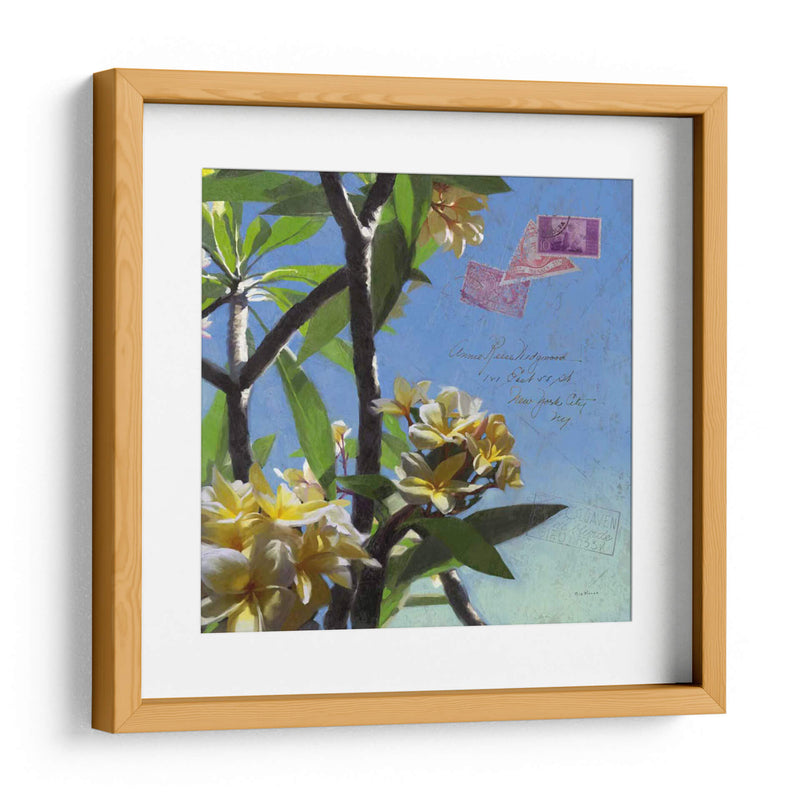 Plumeria Y Postal Iv - Rick Novak | Cuadro decorativo de Canvas Lab