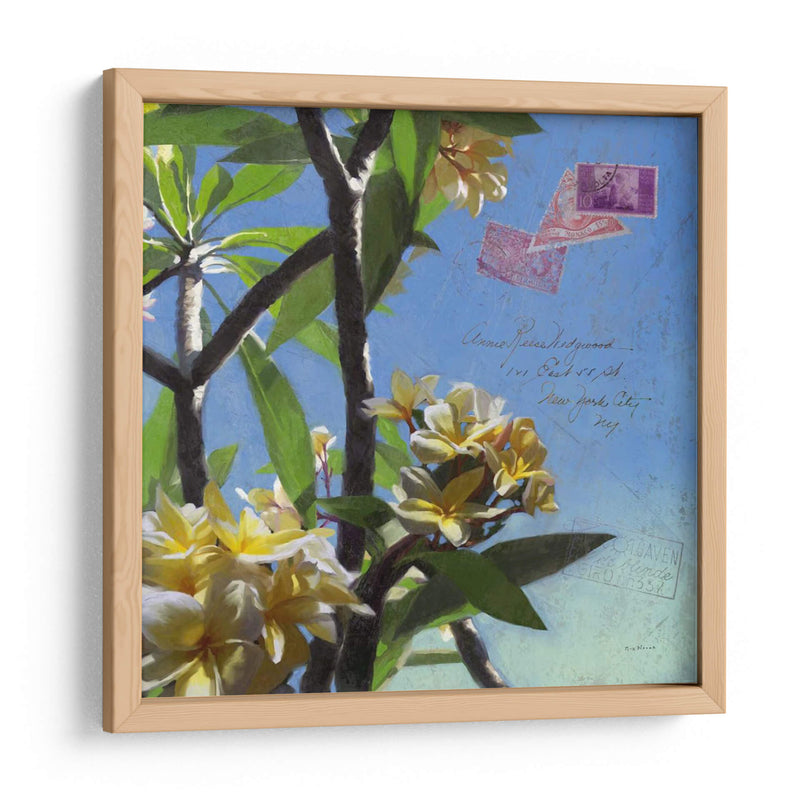 Plumeria Y Postal Iv - Rick Novak | Cuadro decorativo de Canvas Lab