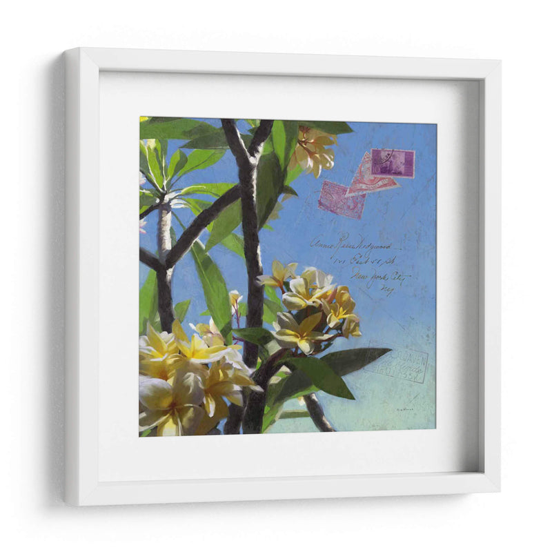 Plumeria Y Postal Iv - Rick Novak | Cuadro decorativo de Canvas Lab