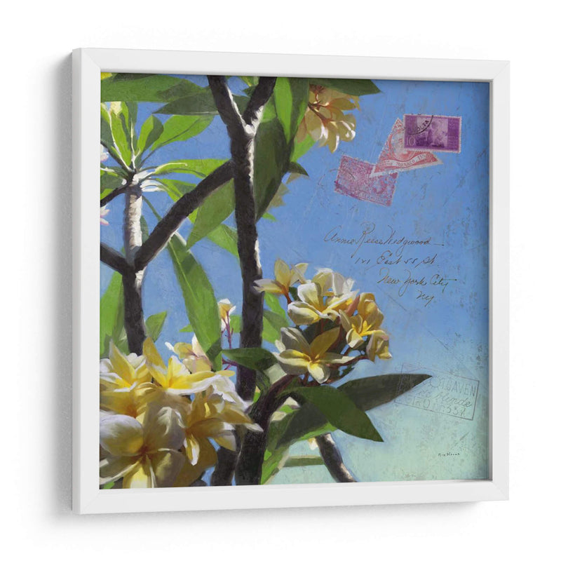 Plumeria Y Postal Iv - Rick Novak | Cuadro decorativo de Canvas Lab